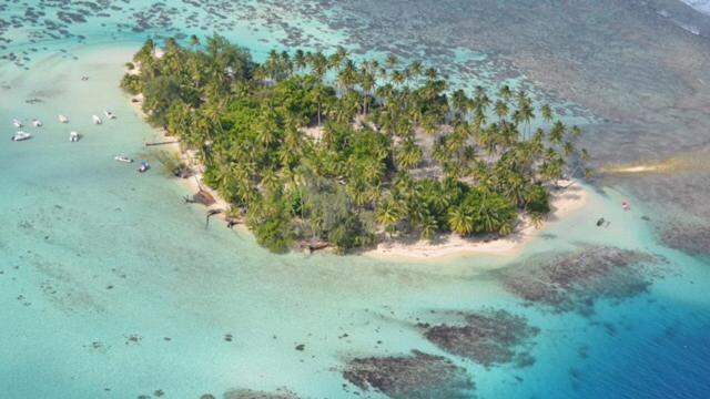 Pension Hibiscus Tahaa Uturoa Екстериор снимка